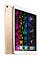 Apple iPad Pro (10.5-inch, Wi-Fi, 256GB) - Space Gray