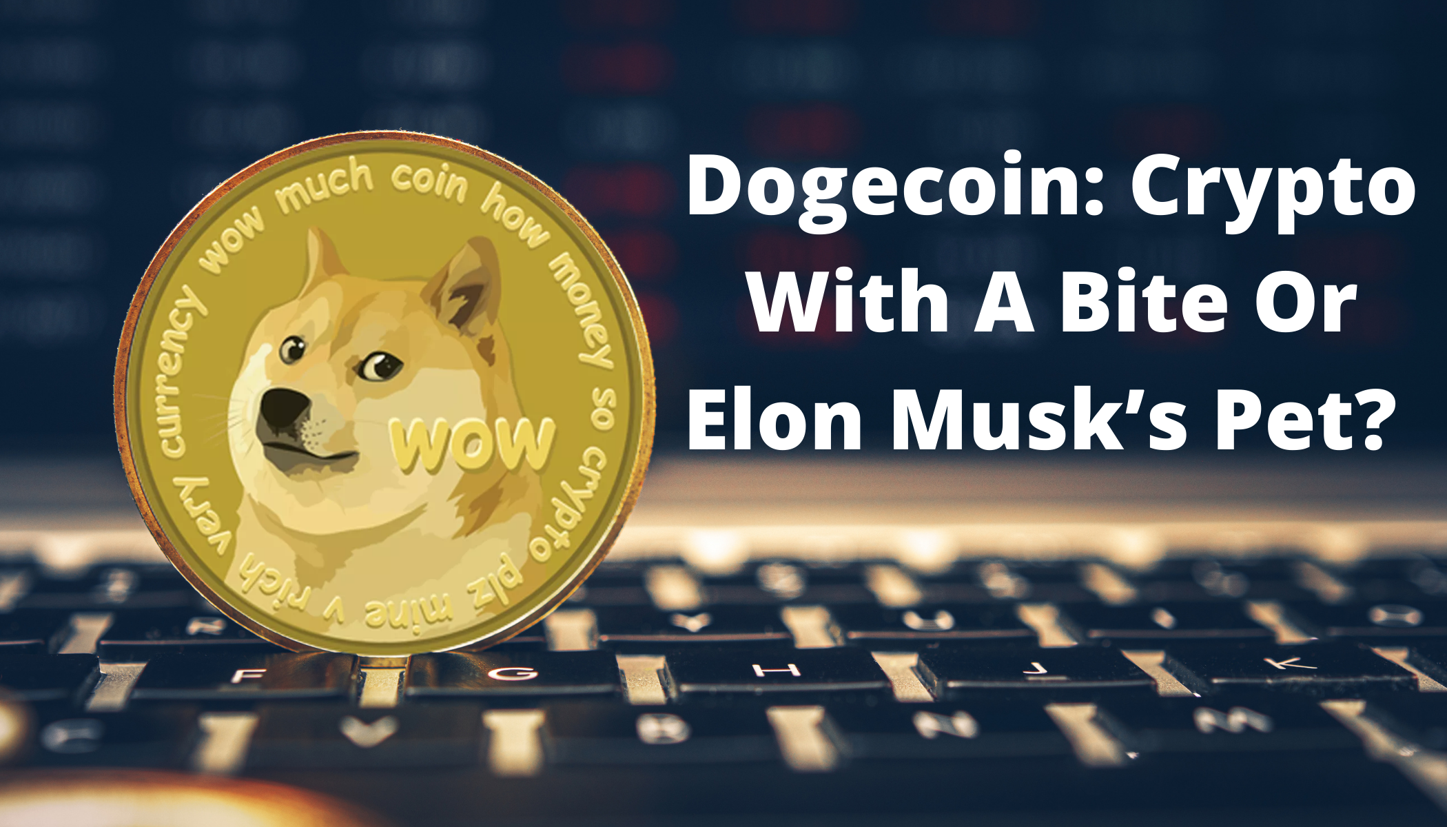 Is Doge Cryptocurrency A Good Investment - Dogecoin Elon Musk And The Latest Reddit Mania / Most people get into the crypto world as an investment.