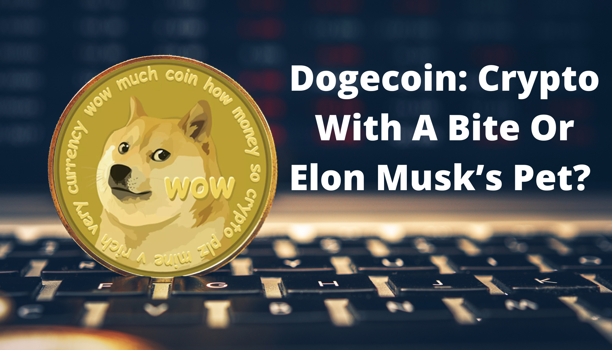 Is Dogecoin A Scam What Is Dogecoin And Should You Invest By Shayn Satten Feb 2021 Datadriveninvestor