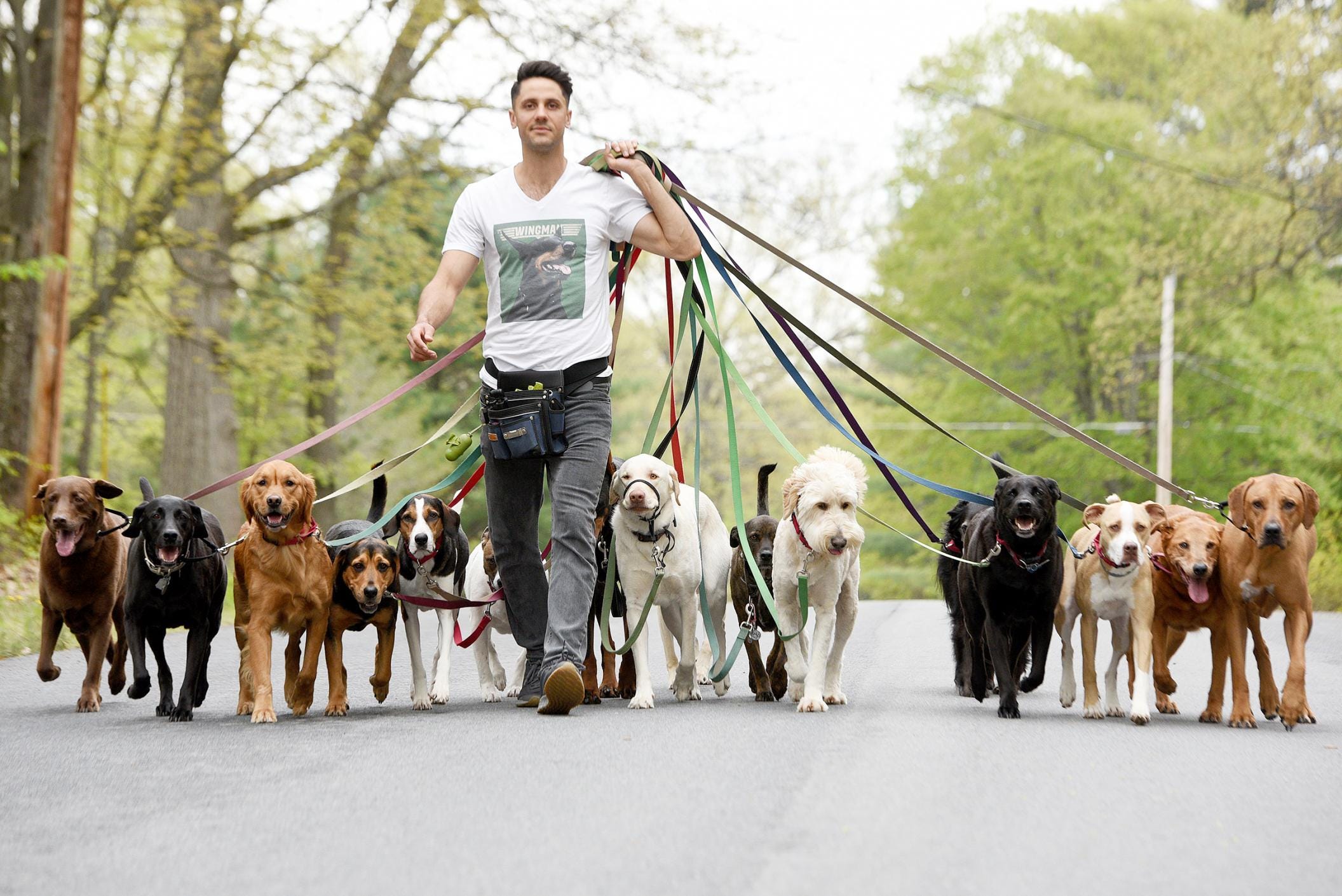 off lead dog training