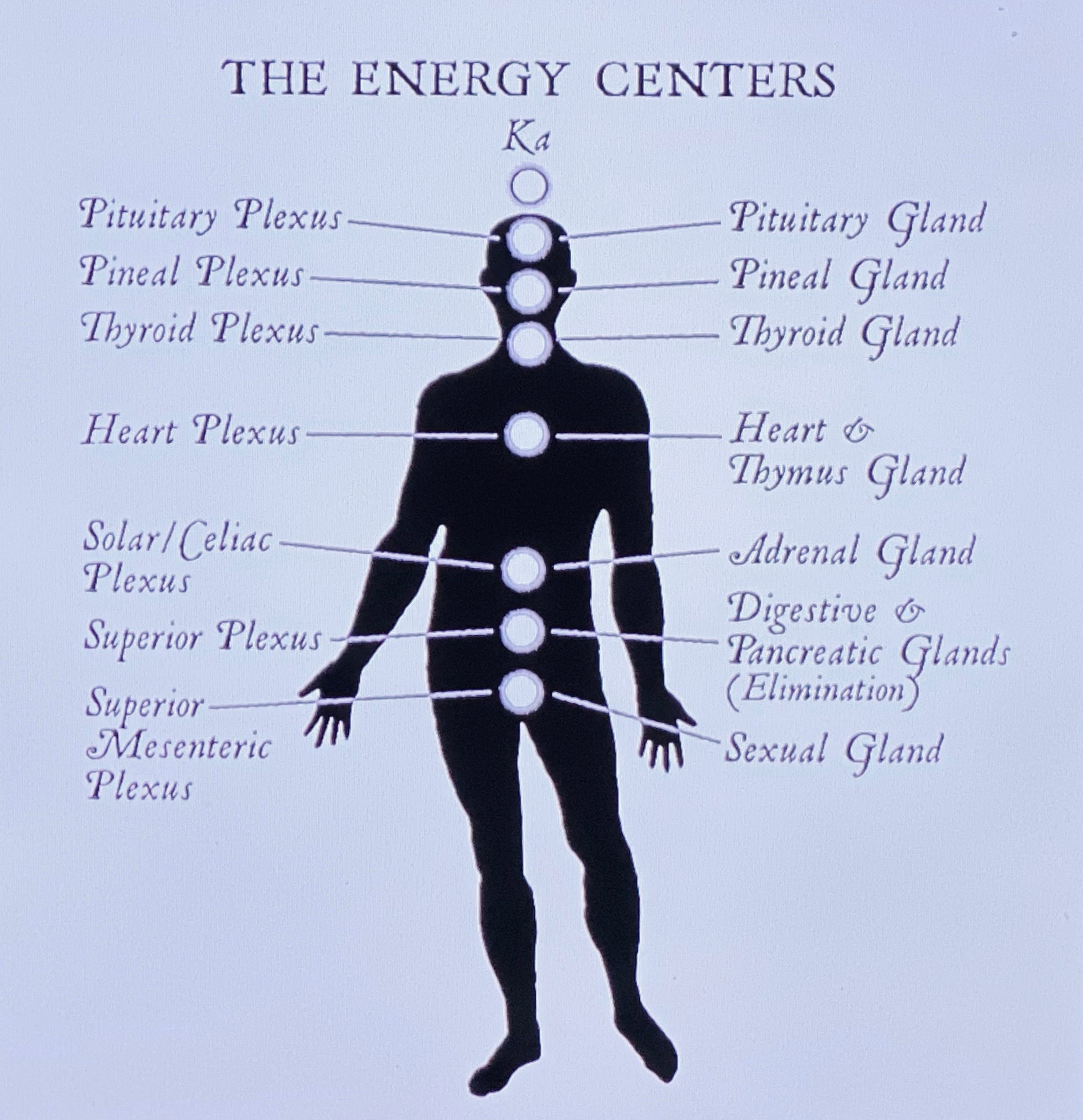 Joe Dispenza Meditation Breathing