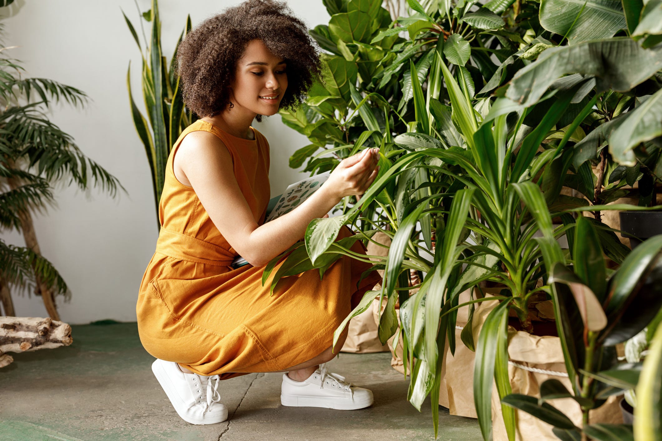 For Black People, Plant Parenthood Is Deeper Than Instagram | by Gabrielle Hickmon | ZORA