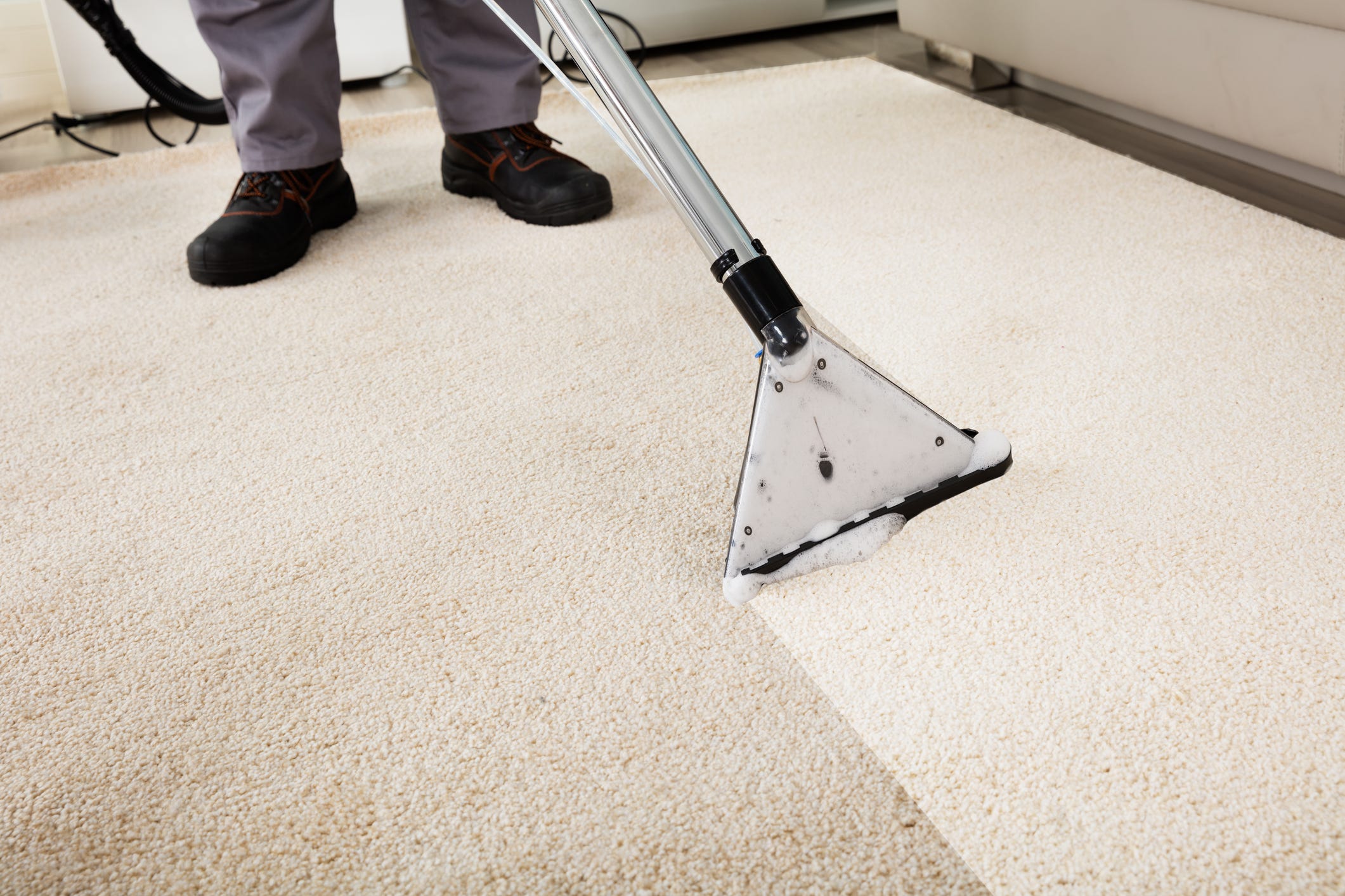Why It S Important To Professionally Clean Your Carpets Why It S Important To Professionally Clean Your Carpets