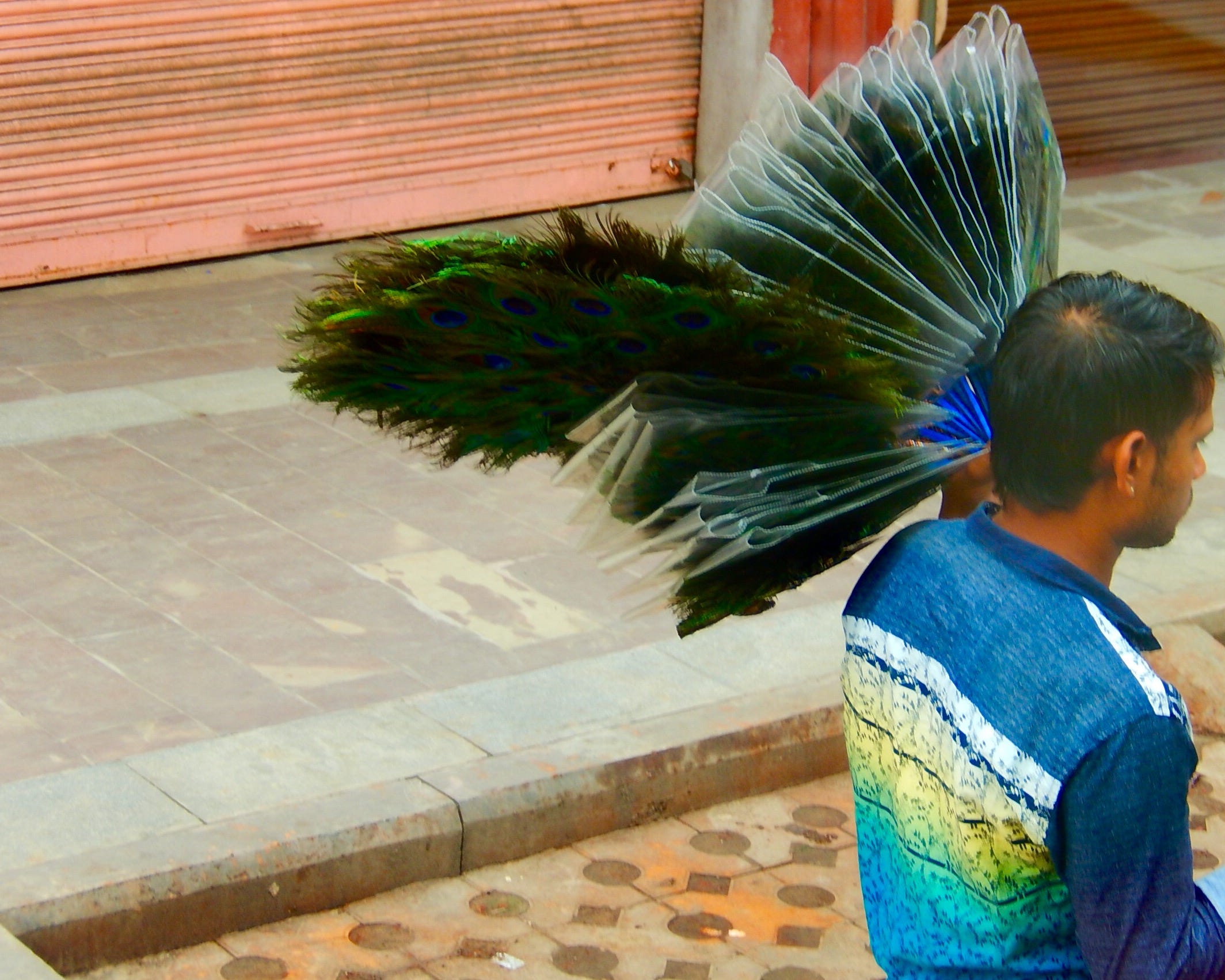 Agganciare a Jaipur