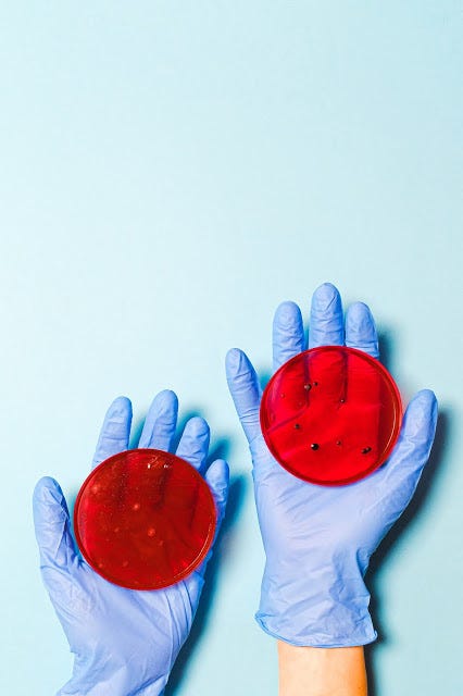 A scientist showing samples of neuroplasticity