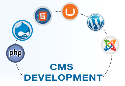The Rise of CMS Development. In the past several years, the manner ...
