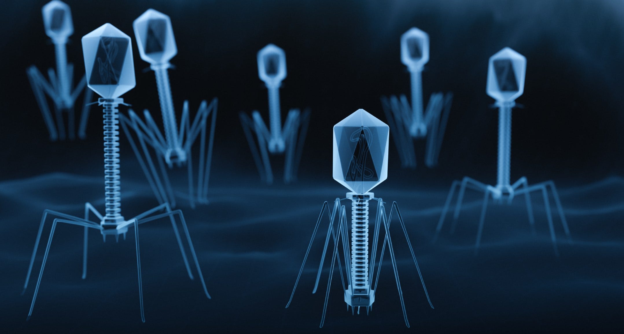 Why Are Viruses So Dangerous?. How does a single strand of DNA become