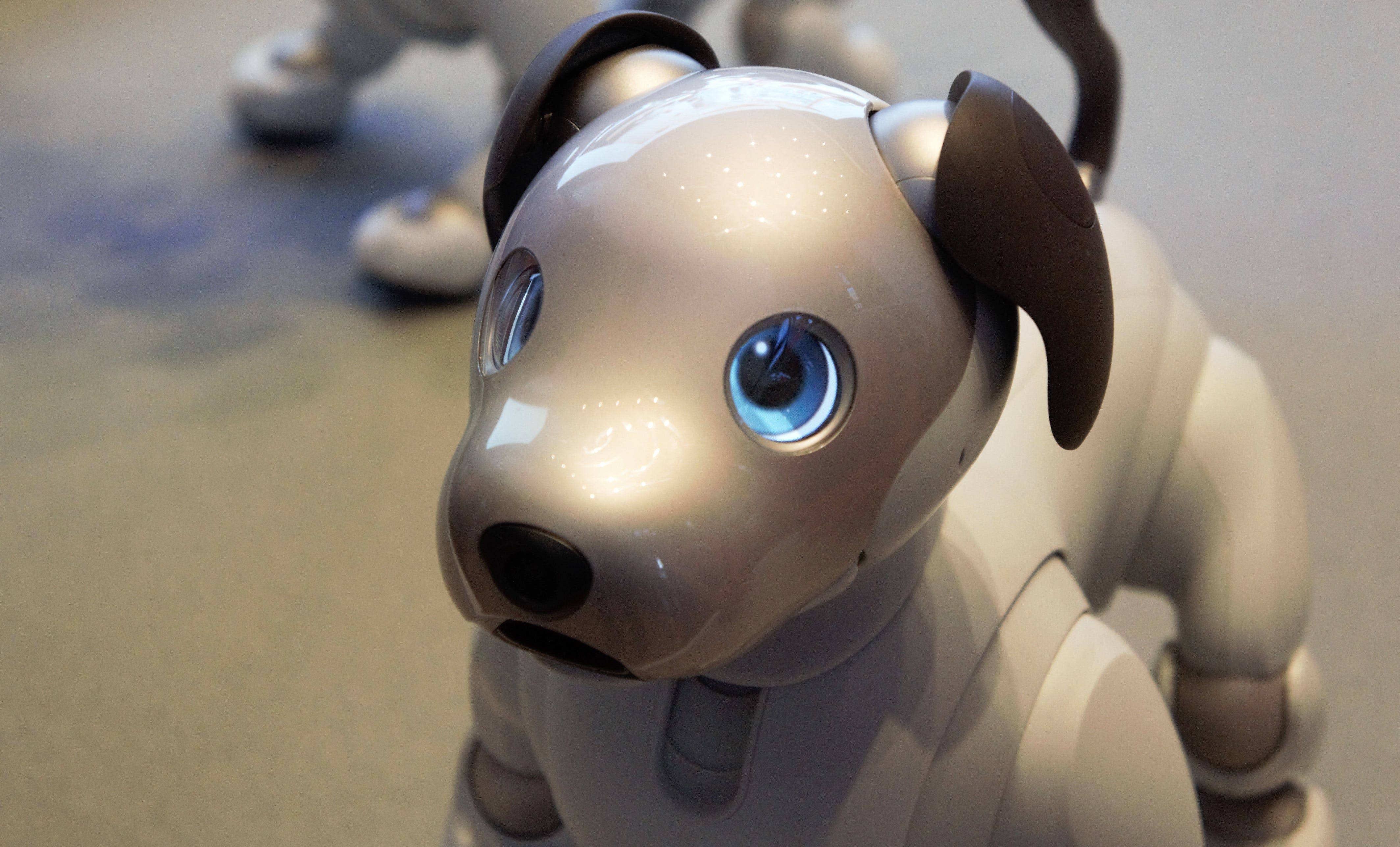 Sony AIBO finally returns to the U.S., but it’s one expensive pup by