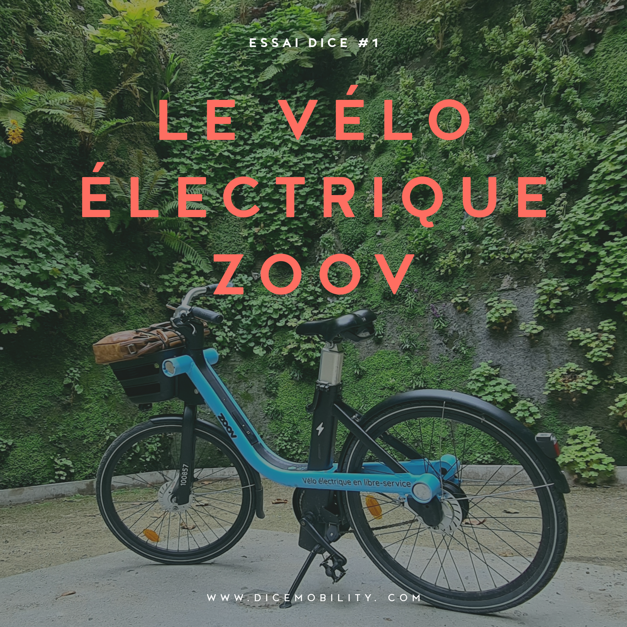 Vélo Zoov 2025