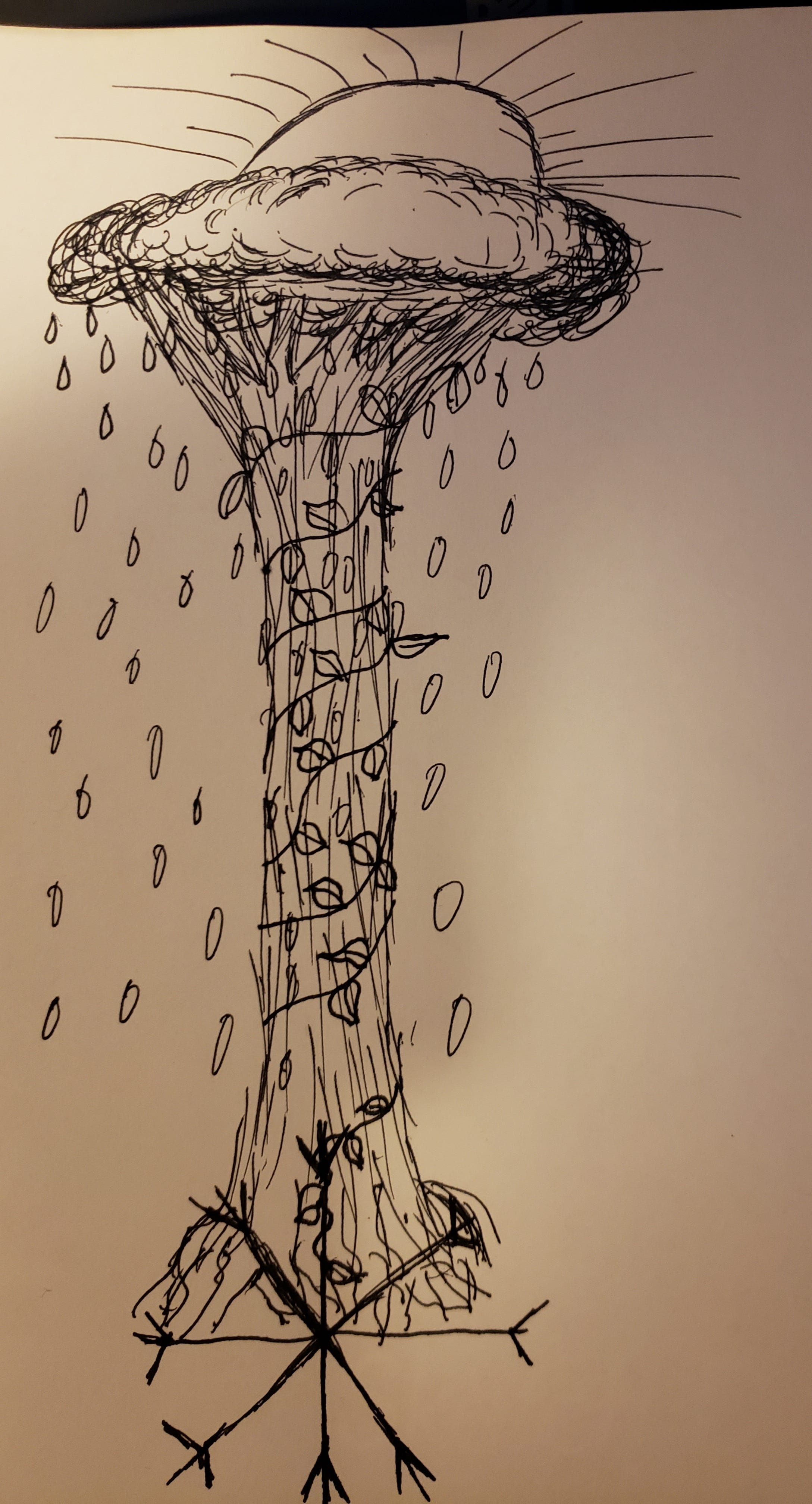 Spina Bifida A Working Definition By Bif In Medias Res Medium