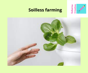 hydroponics