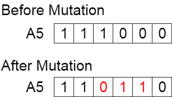 Mutation: Before and After