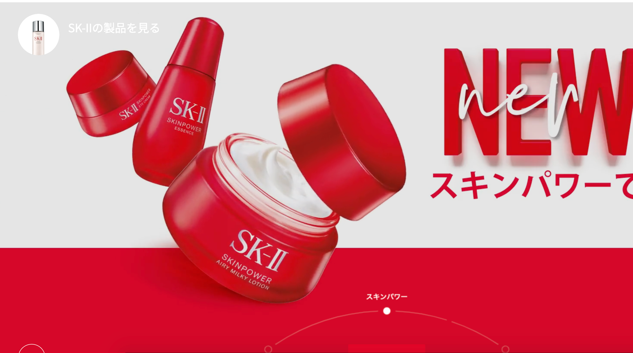 skii skin power