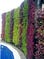 Organic Farming