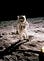 American astronaut Edwin “Buzz” Aldrin walking on the moon on July 20, 1969