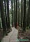 Alishan