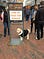 A dog dressed as the American Lawyer Ruth Bader Ginsburg