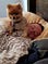 A small dog walks on the sleeping author of this post.