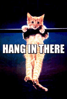 Hang in There! (A solution to socket hang up) | by Elizabeth Zevin | Medium