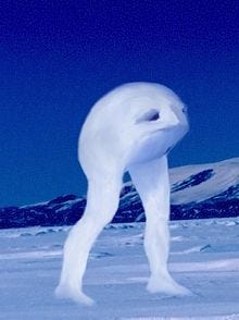 A drawing of a round white creature on two long legs.