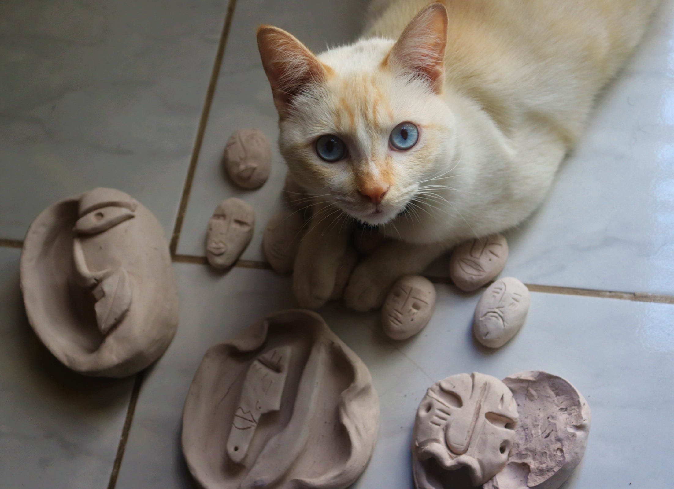 Bitukeiros em cerâmica e gato de Tamii.