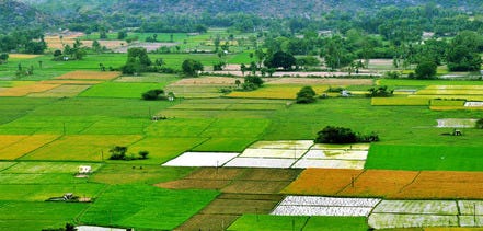 Purchasing Agricultural Land The Rules And Laws Across