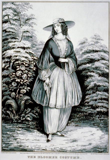 Nineteenth-Century Dress 