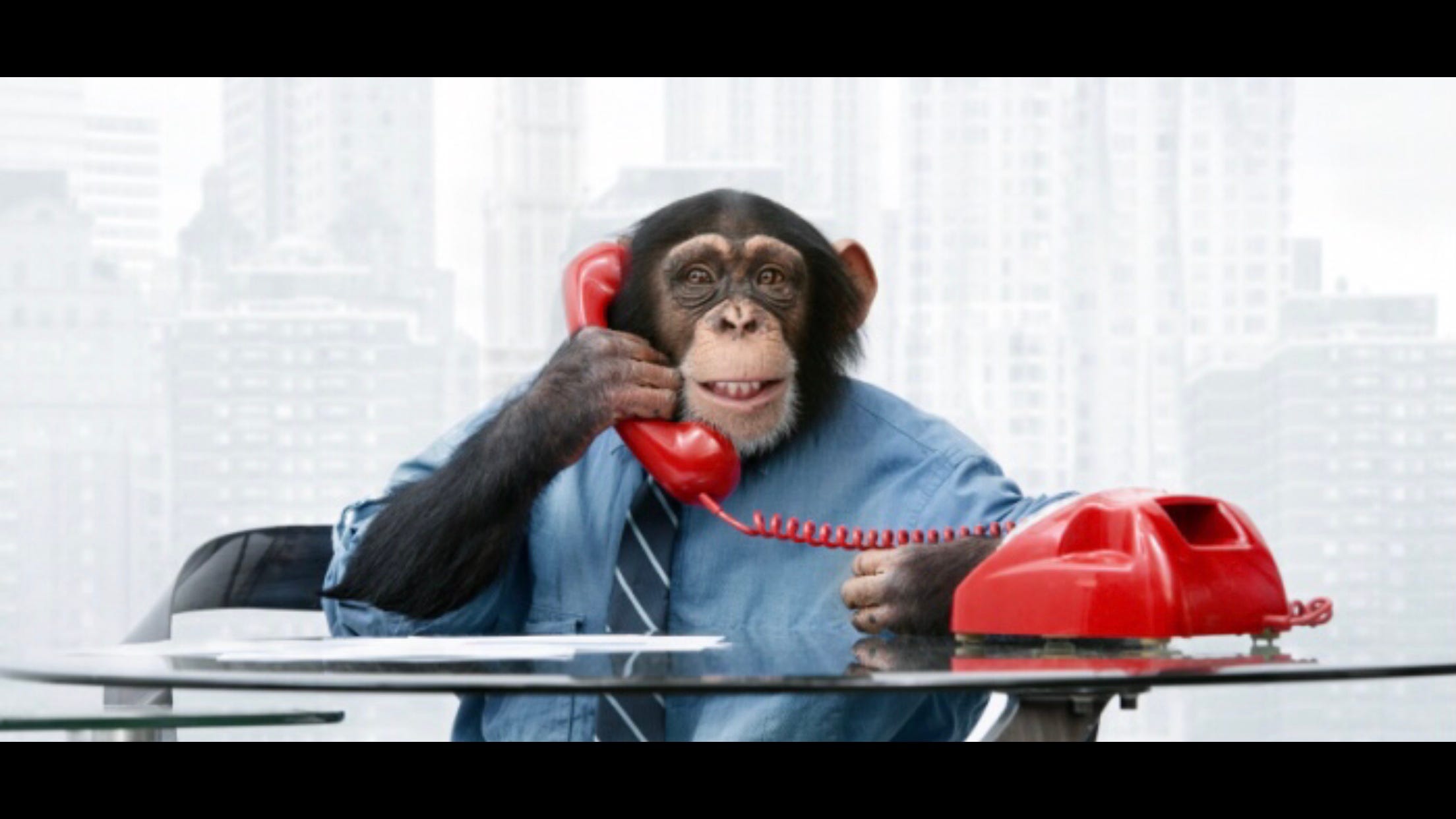 Cryptocurrency Monkey Business Must Read By Trading Room Medium