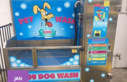 diy dog wash