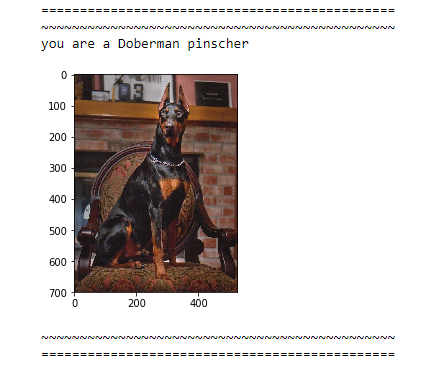 Building a Dog Breed Classification Convolutional Neural Network from ...