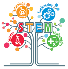 Stem Education Science Technology Engineering Math By Niharika Chhabra Medium