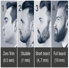 0.5 mm trimmed beard