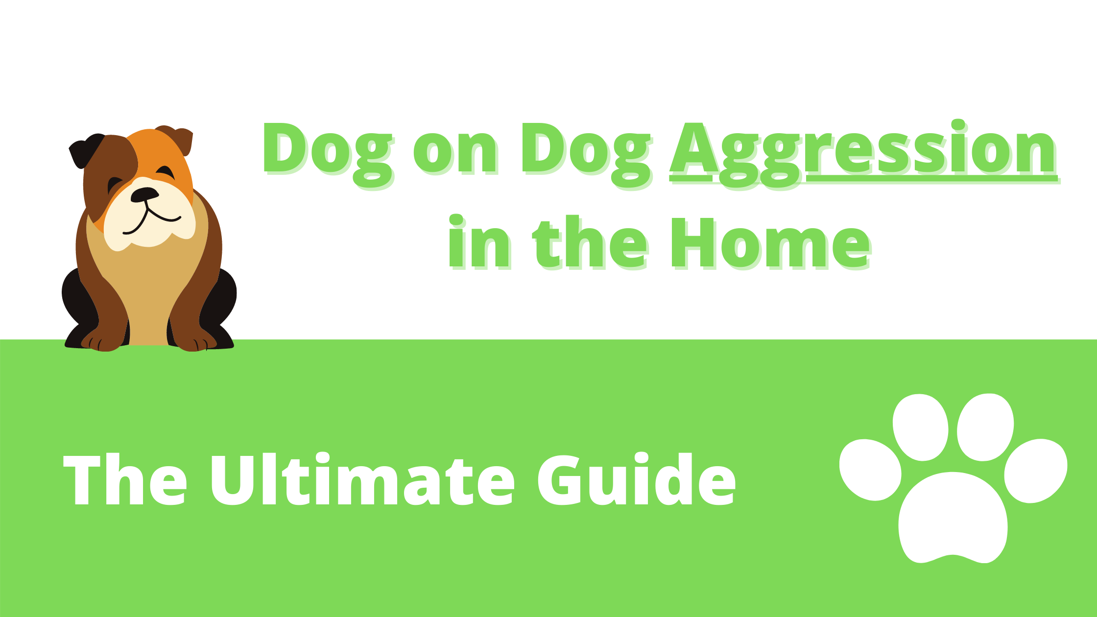 dog aggression in the home