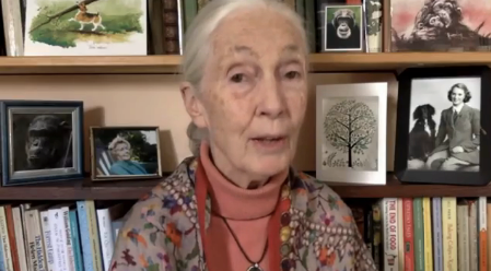 Dr. Jane Goodall, Biodiversity Summit 2020