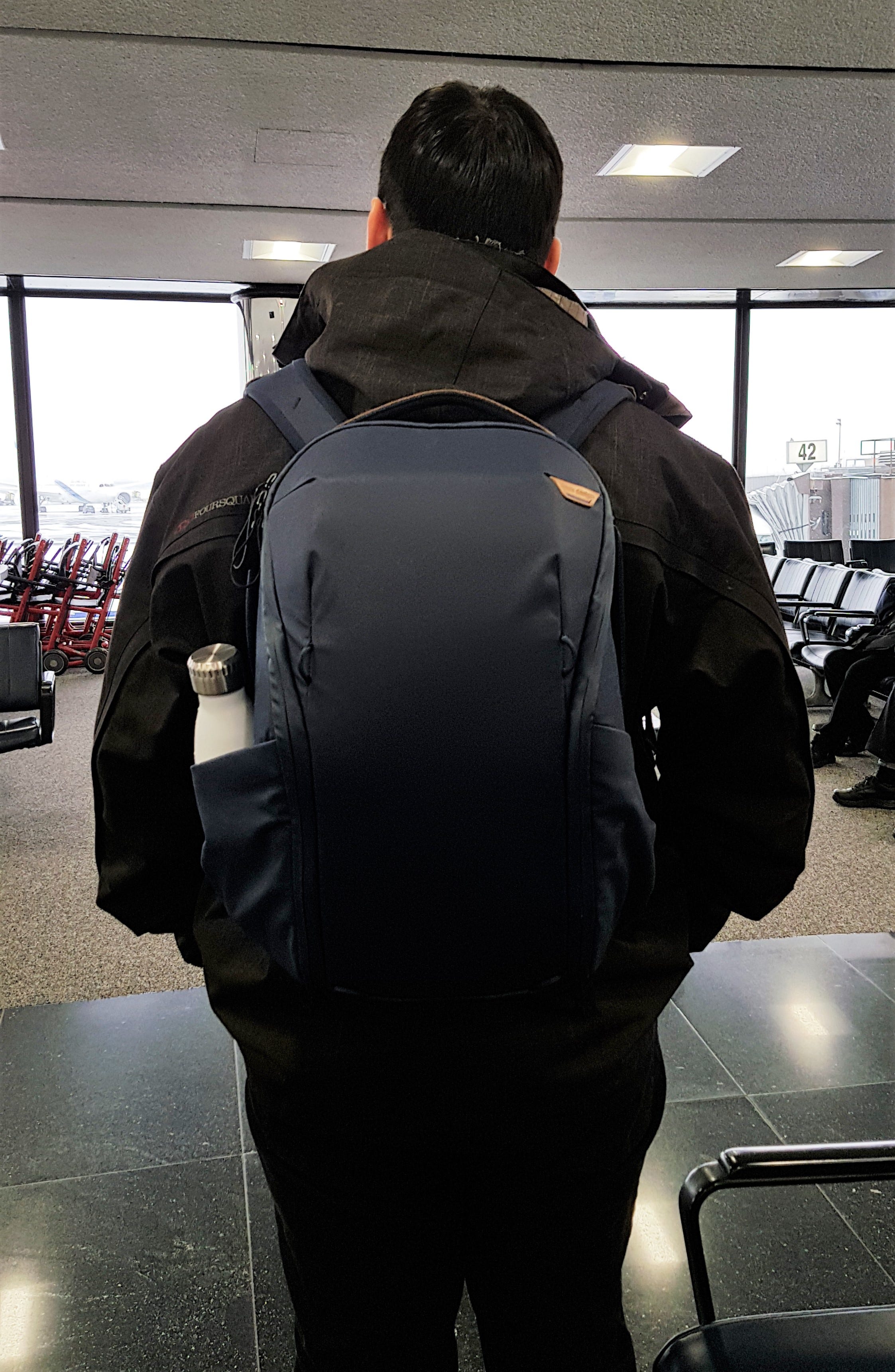Peak Design — Everyday Backpack Zip (20L) Review | by Geoff C | Pangolins  with Packs