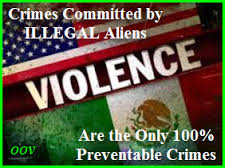 Congress Urges DHS to Release Cross-Dressing Illegals…What would Donald  Trump do? | by Homeland inSecurity | Homeland Security | Medium