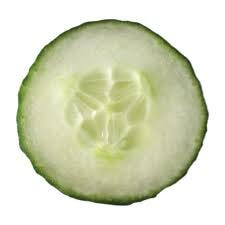 Why Cucumbers Taste Bitter And Some More By Rishabh Baid Medium