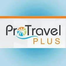 travel mlm companies medium ceo company seth fraser started age plus pro