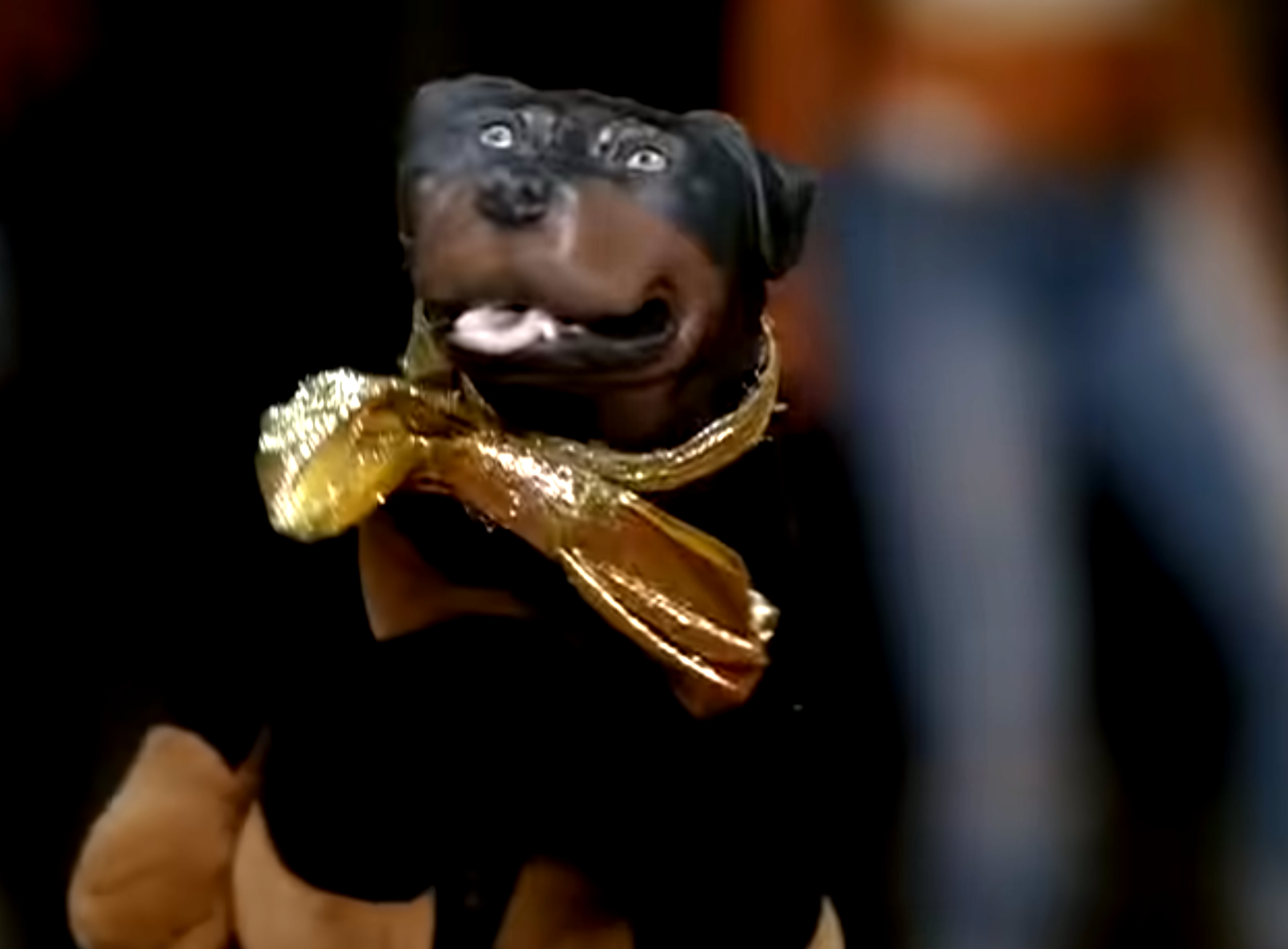 Pooping On Everything With Triumph The Insult Dog - Verboten Publishing ...