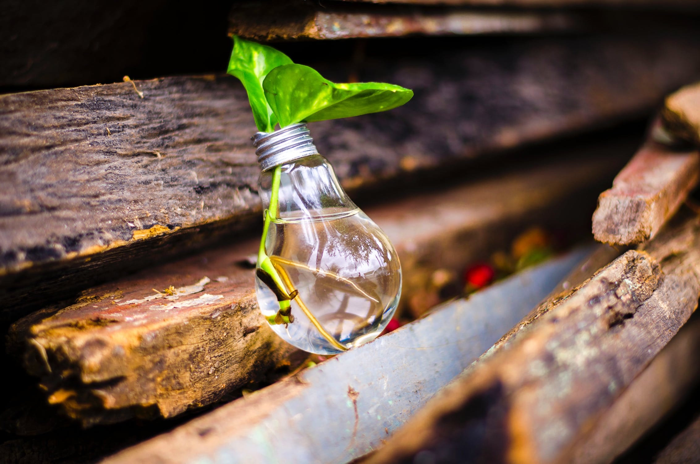 The People First Approach To Building The Next Wave of Wildly Successful Startups