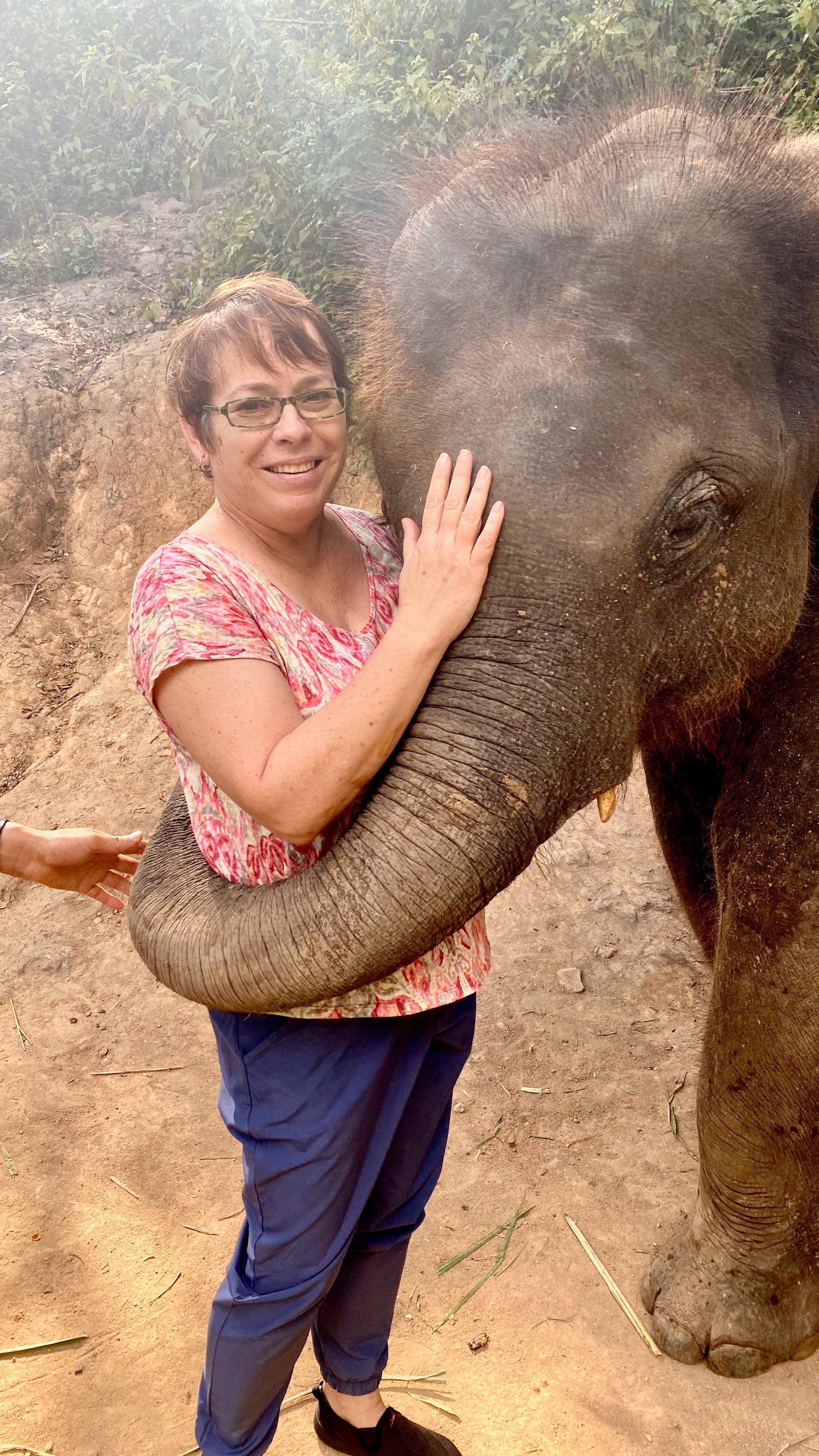 Elephants!. Elephants flap their ears when they’re… by Lisa Orange