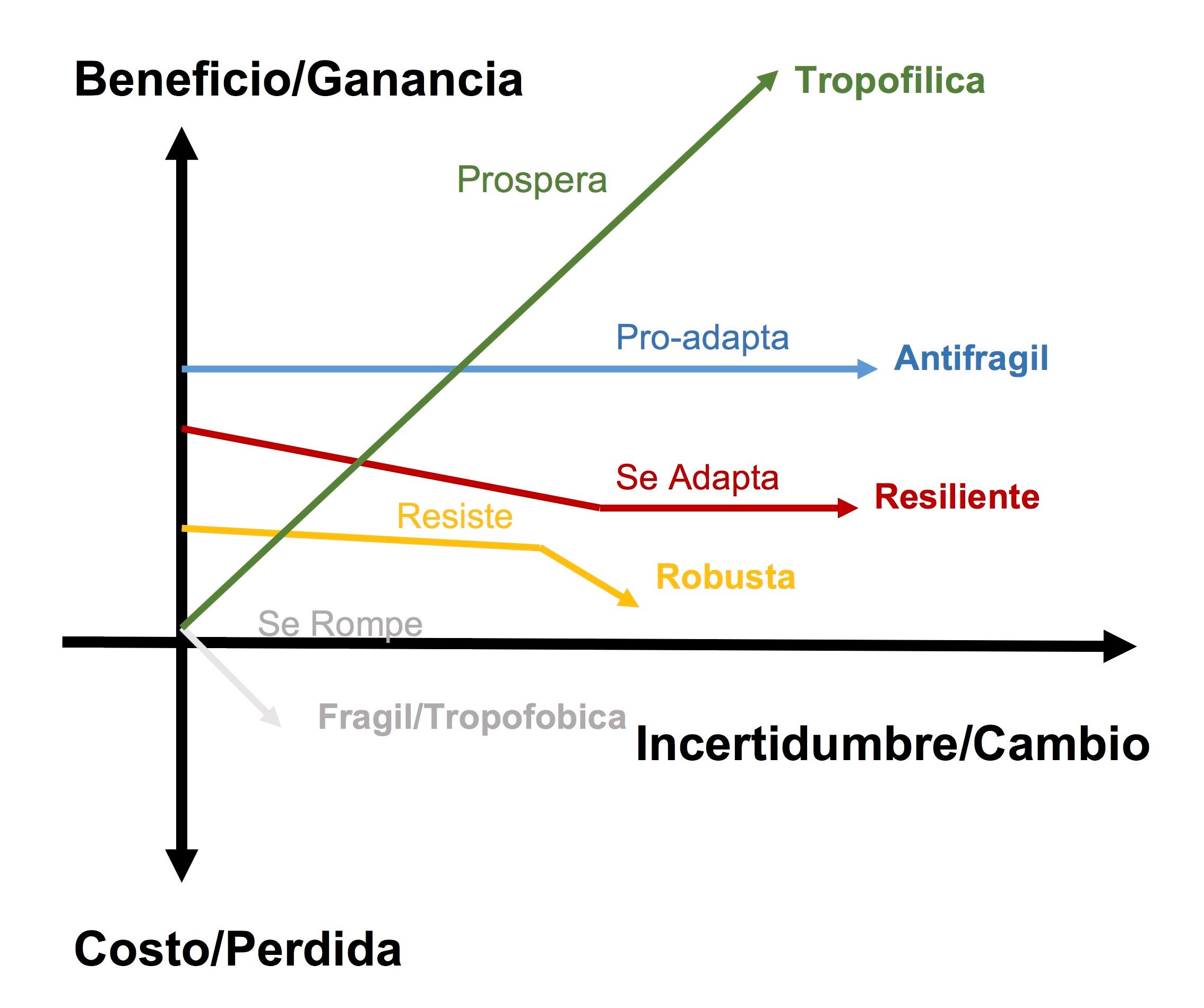 El Arte Y La Sabiduria De La Governanza Corporativa De