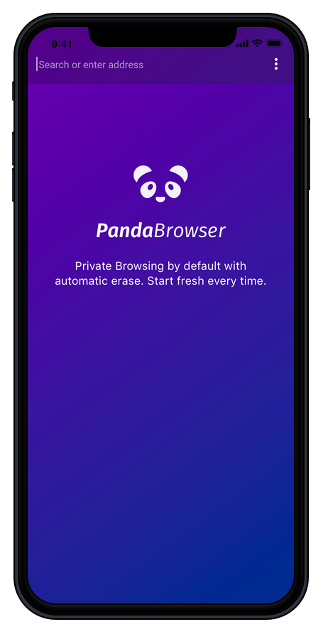 PandaBrowser launch screen