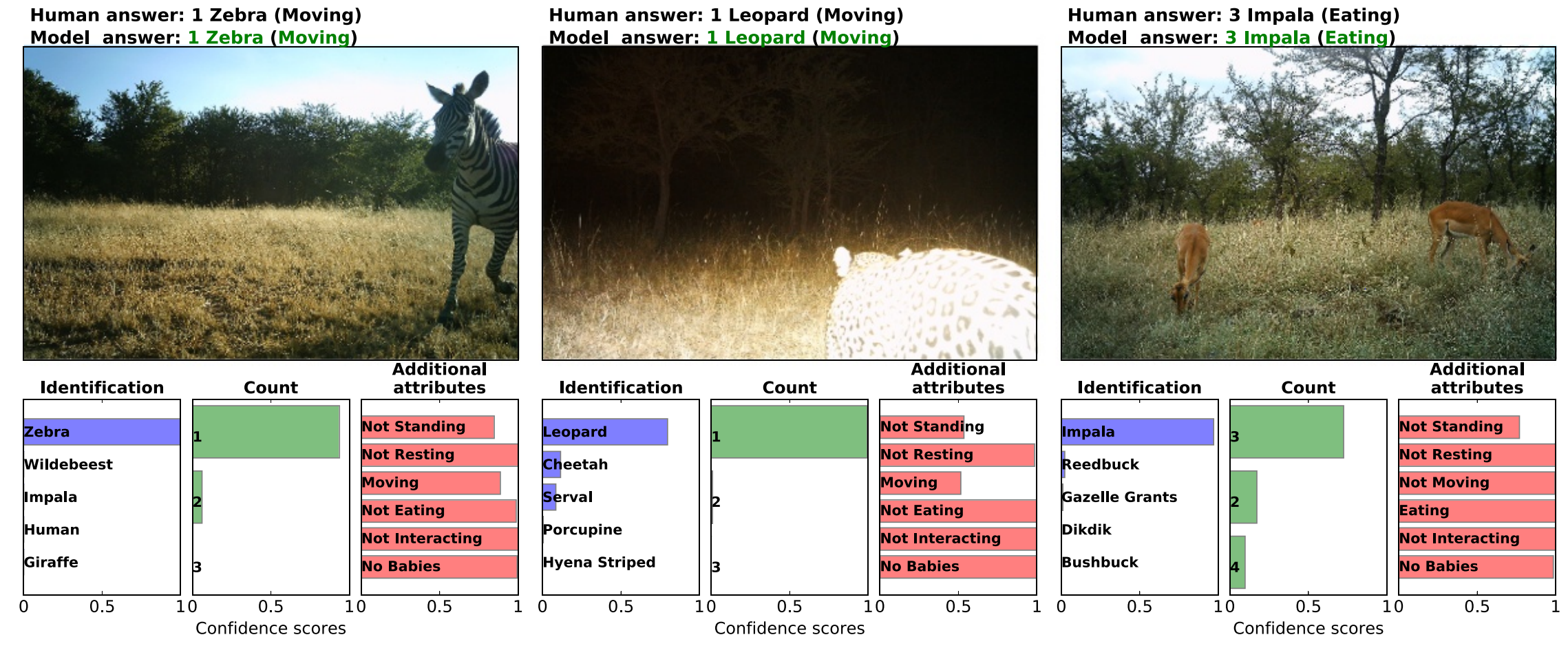 Automated Animal Identification Using Deep Learning Techniques | by ...