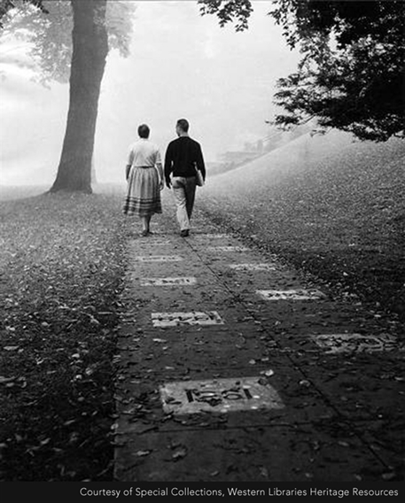 A Walk Down Memory Walk. Memory Walk is a path that runs from… | by ...