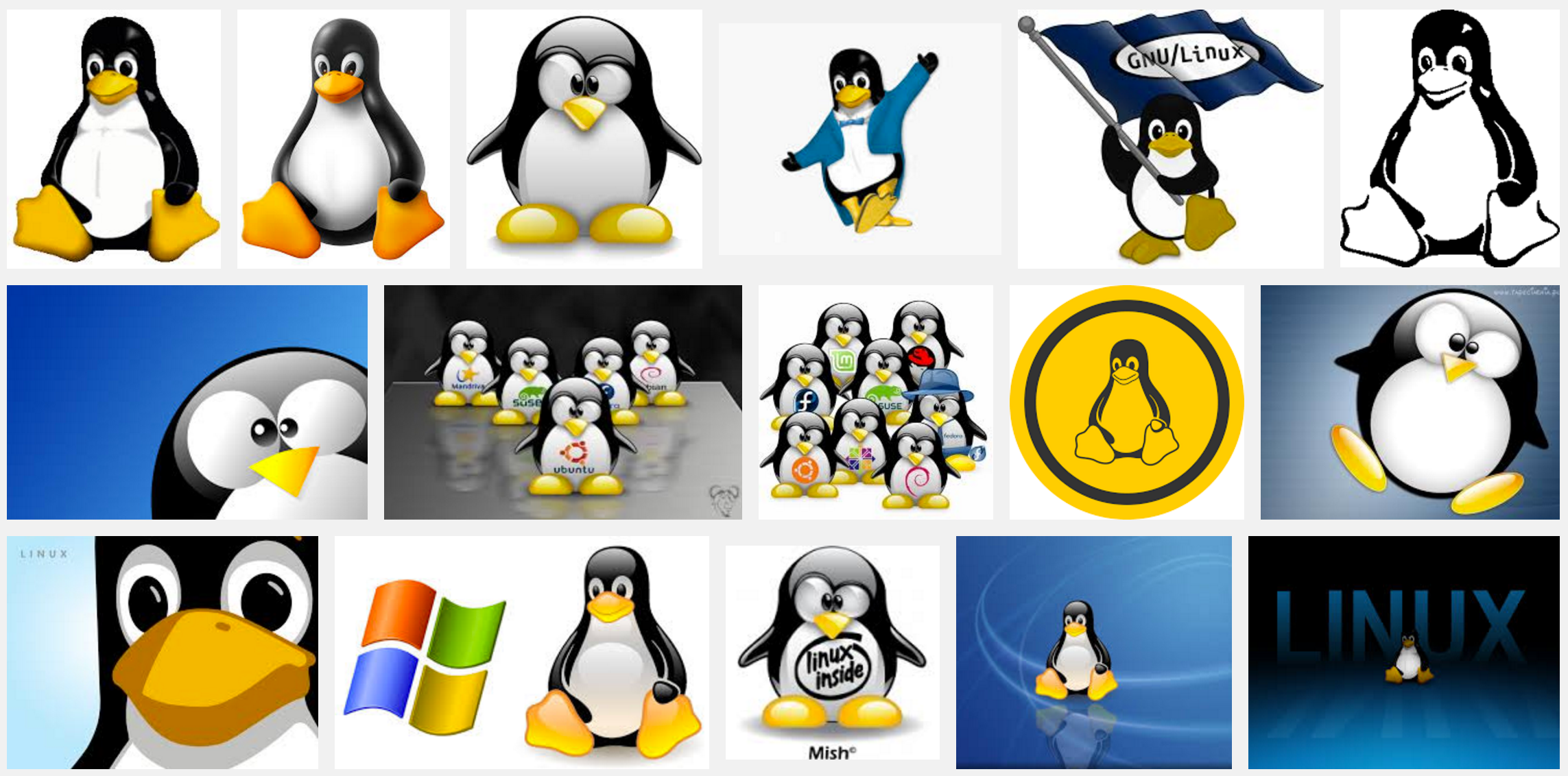 How Tux The Penguin Ruined It For Linux By Jon Hendren Piss Io