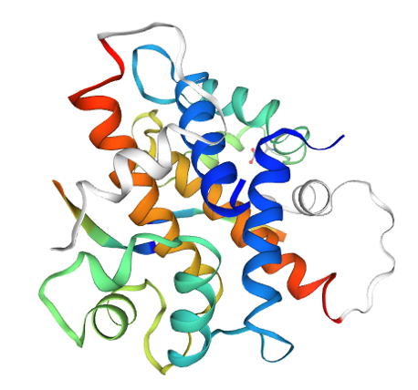 Defining Genomics, Transcriptomics, and Proteomics for Data Scientists 24