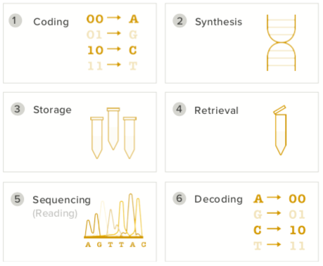 How We Are Revolutionizing the World a Cell at a Time, using Biological ...