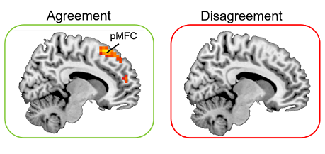 What Science Says about Disagreeing like an FBI-Agent