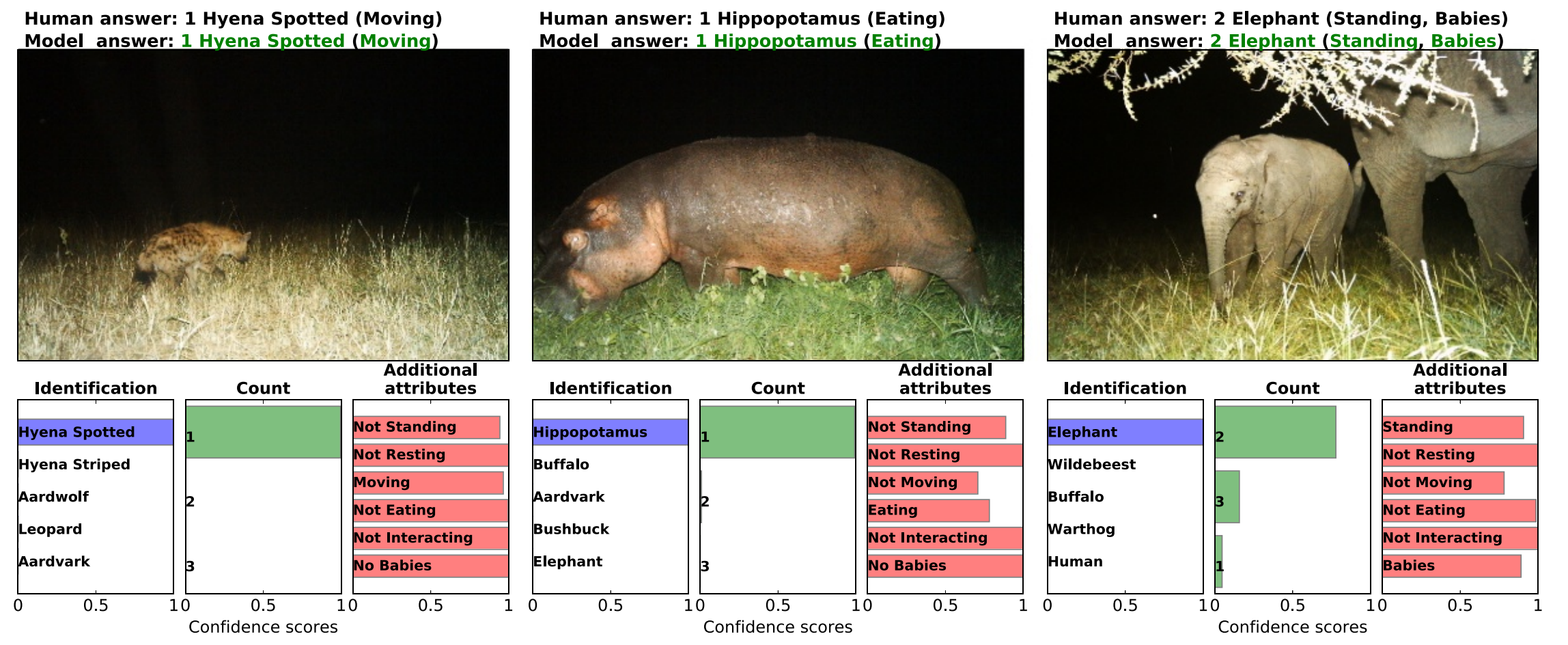 Automated Animal Identification Using Deep Learning Techniques | by ...